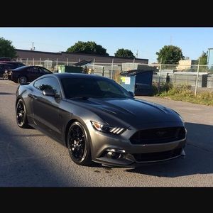 Meet your Posher, Devon